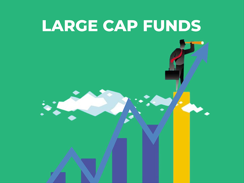 Large cap Fund - MINTIT Large cap Fund - MINTIT